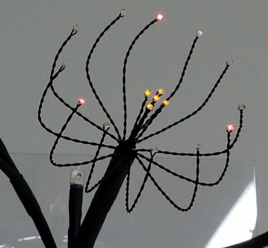 P62 IKEBANA