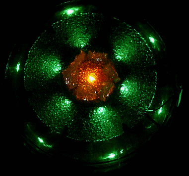 P69 CHROMA LOTUS