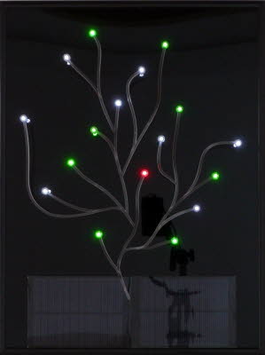 SOLAR ALGEA